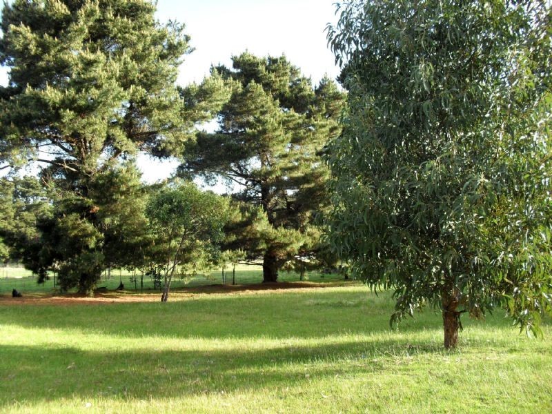 60 Moreland Road, St Leonards VIC 3223