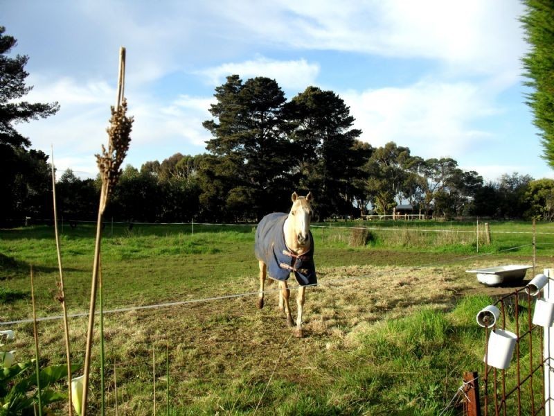 60 Moreland Road, St Leonards VIC 3223