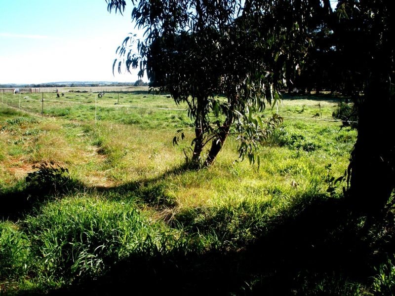 60 Moreland Road, St Leonards VIC 3223