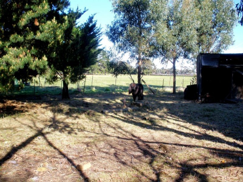 60 Moreland Road, St Leonards VIC 3223