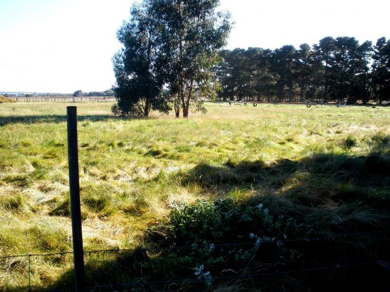 60 Moreland Road, St Leonards VIC 3223