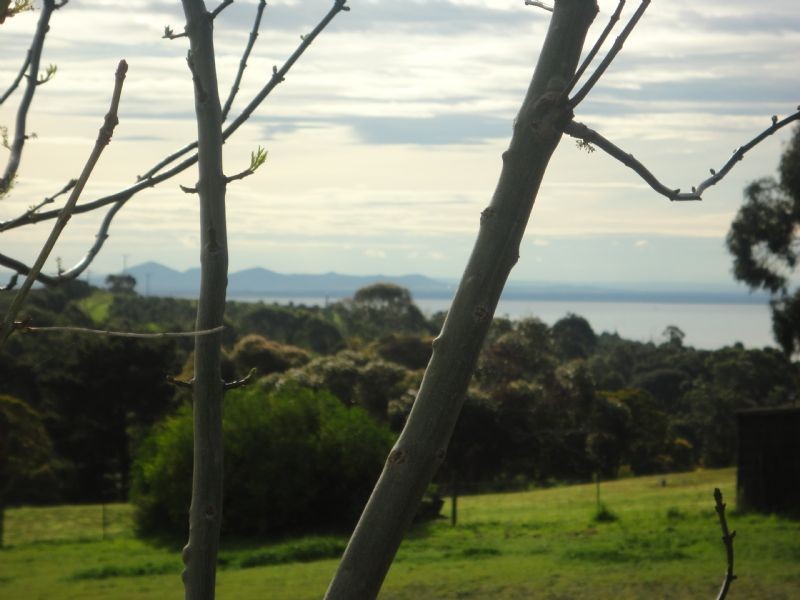 80 Greenhills Road, Bellarine VIC 3221