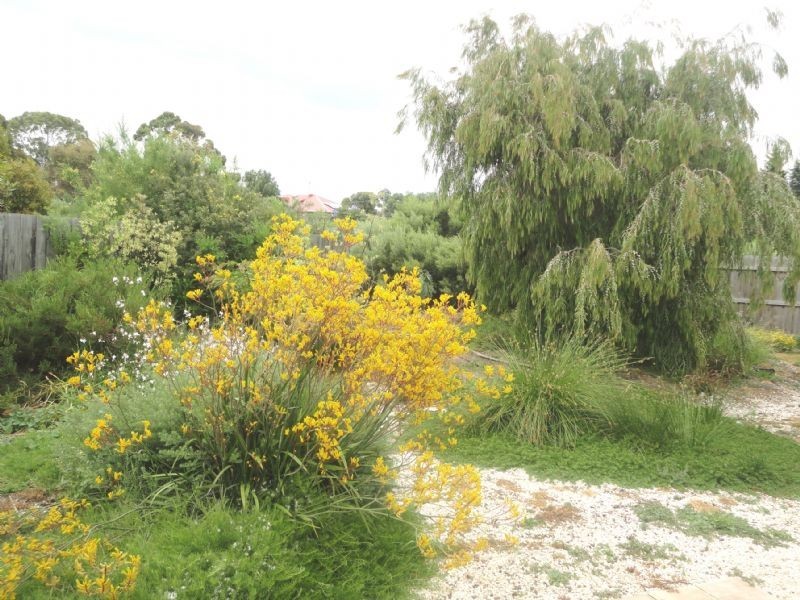 98 Willis Street, Portarlington VIC 3223