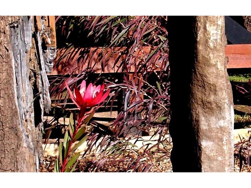 2420 Geelong-Portarlington Road, Portarlington VIC 3223