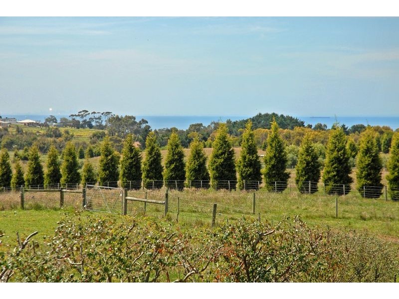 135 Batman Road, Bellarine VIC 3221