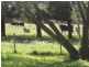210 Pigdon Street, Portarlington VIC 3223