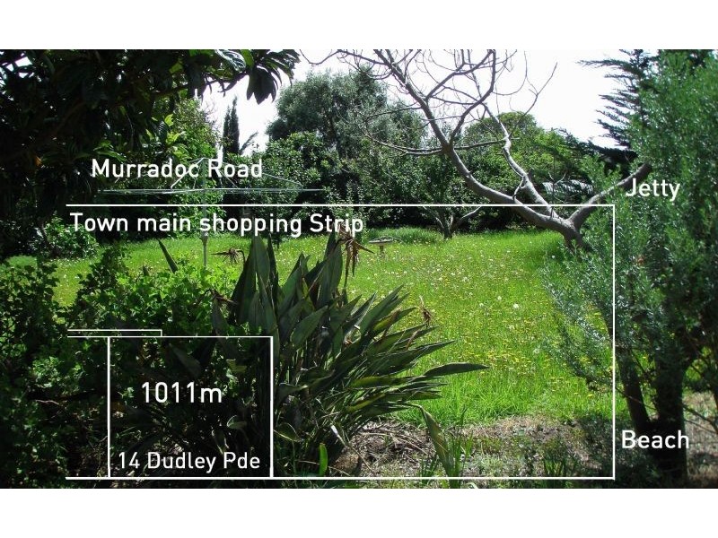 14 Dudley Parade, St Leonards VIC 3223