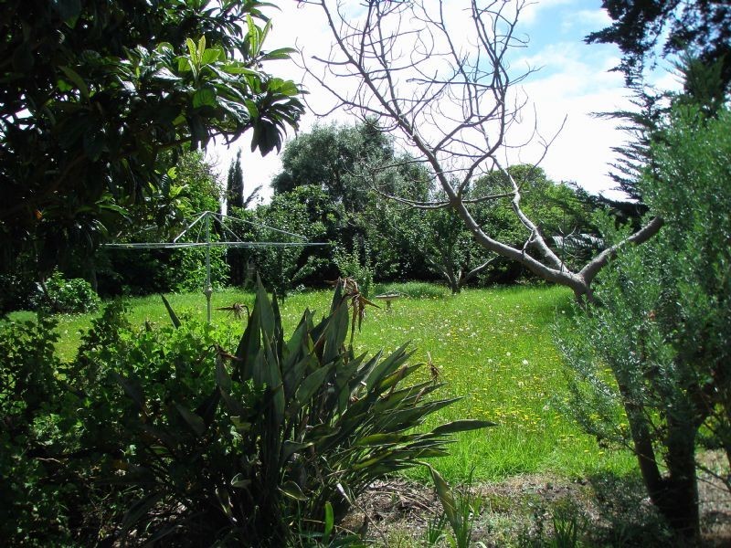 14 Dudley Parade, St Leonards VIC 3223