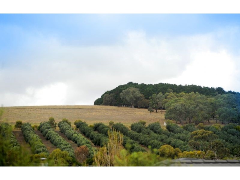 52 Tower Road, Portarlington VIC 3223