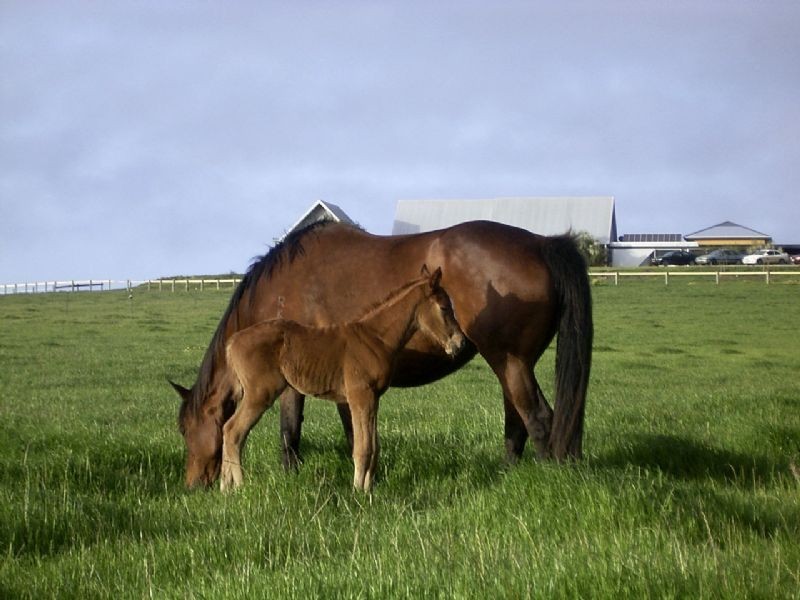 402-440 Church Road, Portarlington VIC 3223