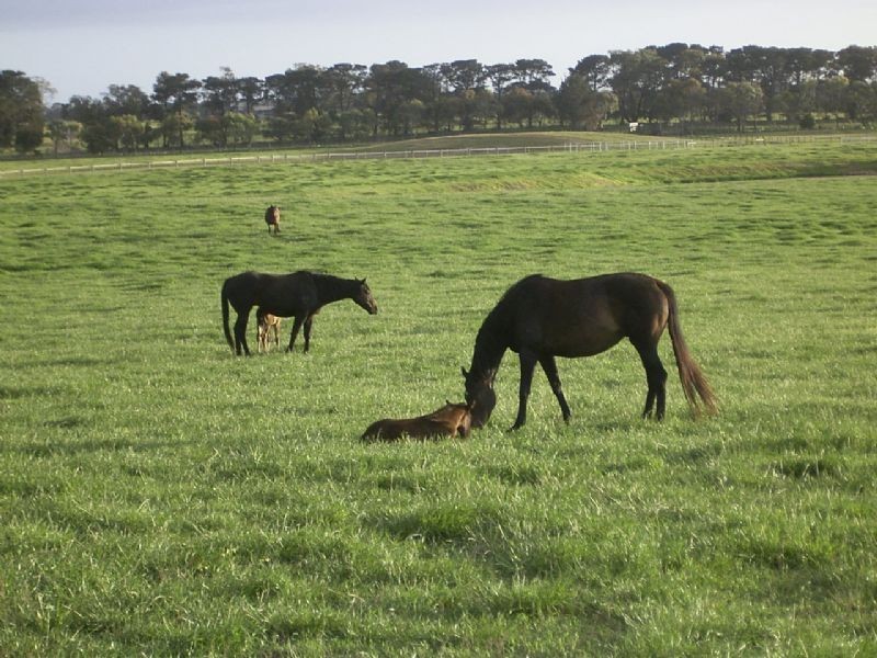 402-440 Church Road, Portarlington VIC 3223