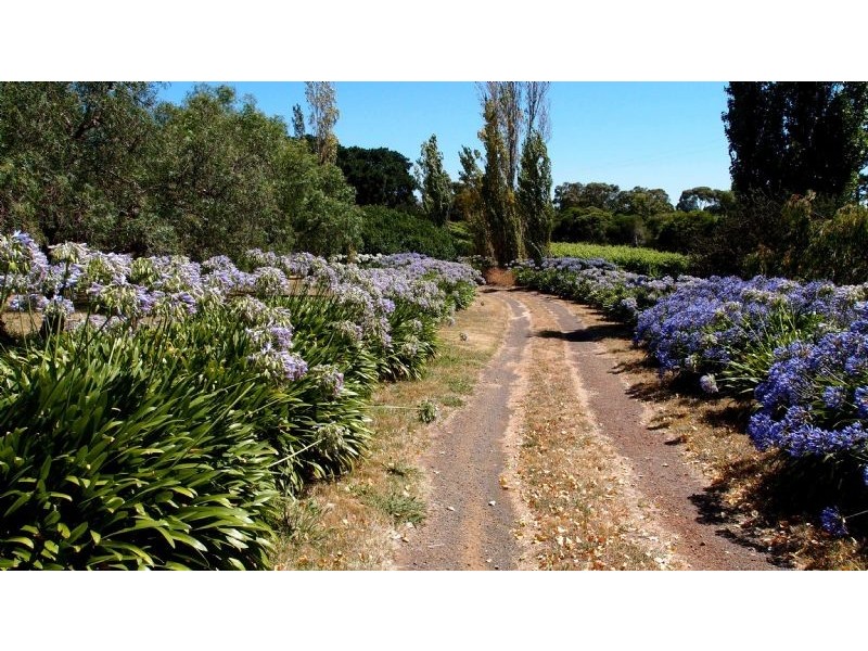 2171 Portarlington Road, Bellarine VIC 3221