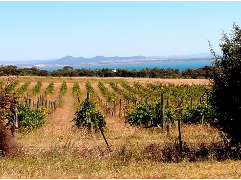 2171 Portarlington Road, Bellarine VIC 3221