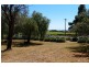 2171 Portarlington Road, Bellarine VIC 3221