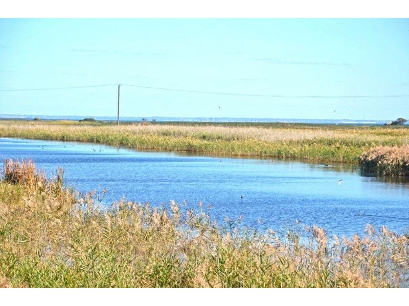 3 Pieris Court, Portarlington VIC 3223