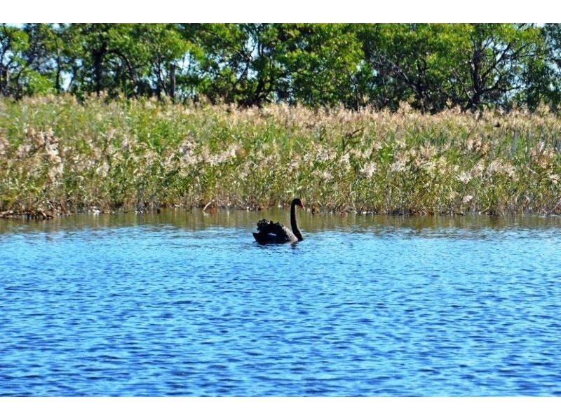 3 Pieris Court, Portarlington VIC 3223