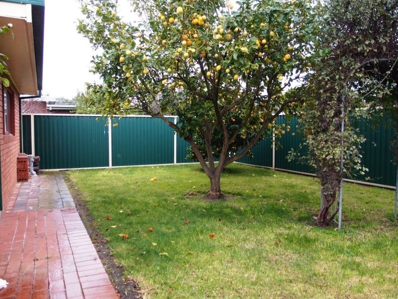 29 Valda Avenue, Indented Head VIC 3223