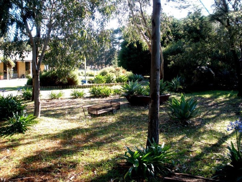 60 Moreland Road, St Leonards VIC 3223