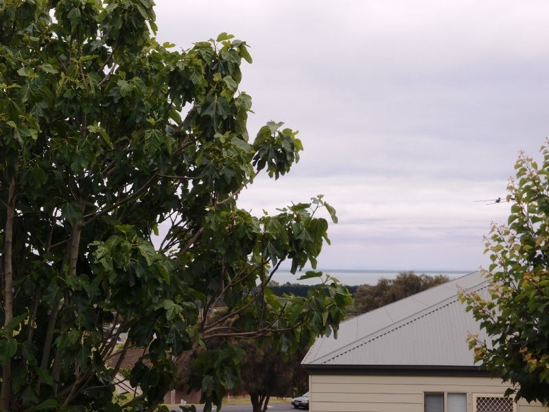 9 Evandale Avenue, Portarlington VIC 3223