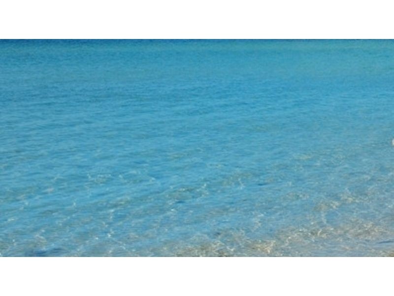 1/311 The Esplanade, Indented Head VIC 3223