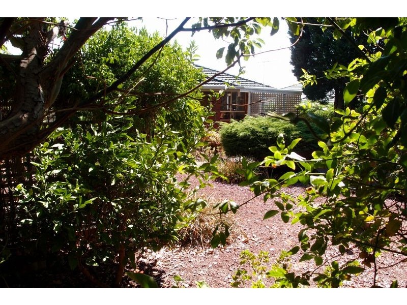 23 Darryl Street, Portarlington VIC 3223