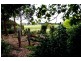 2320 Portarlington Road, Bellarine VIC 3221