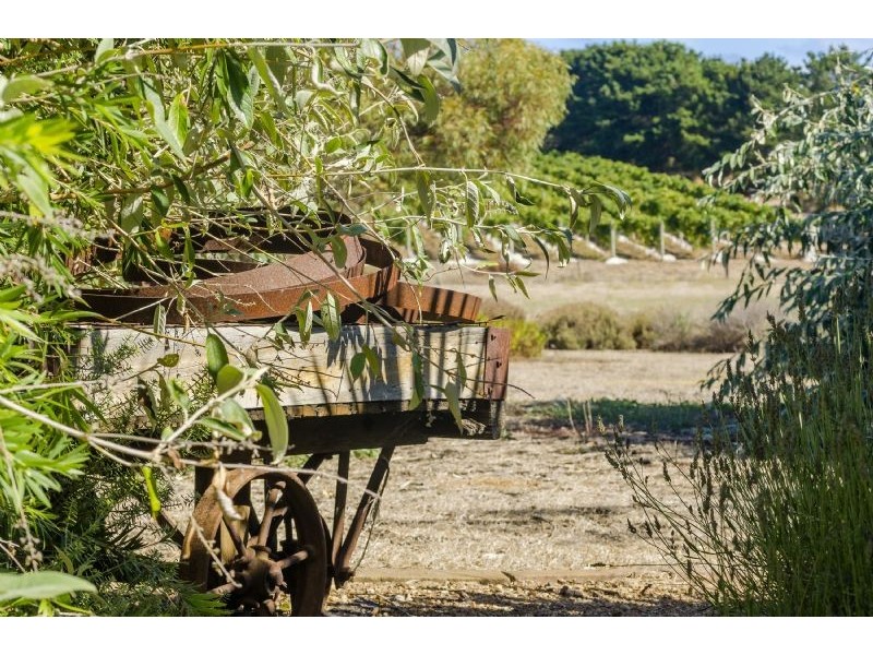 2320 Portarlington Road, Bellarine VIC 3221