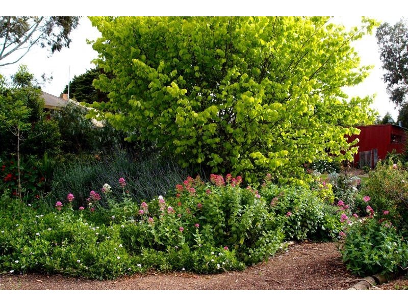 2320 Portarlington Road, Bellarine VIC 3221