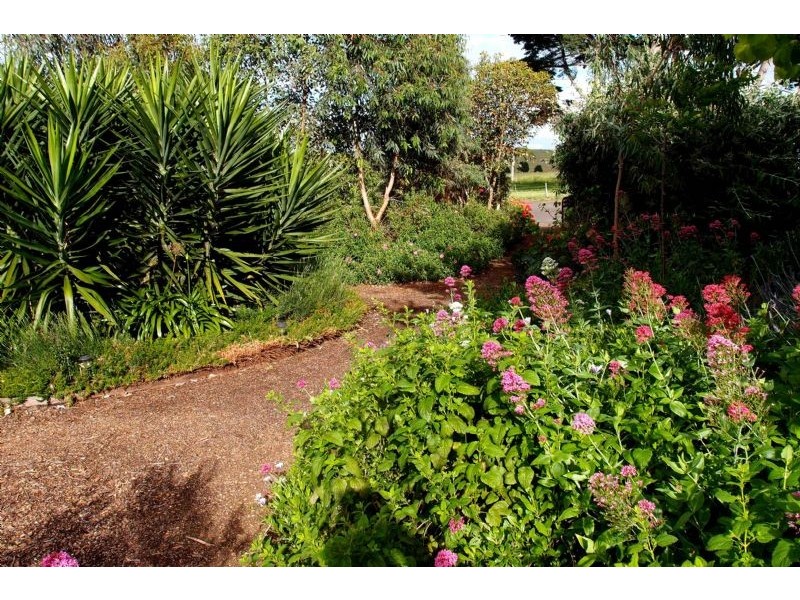 2320 Portarlington Road, Bellarine VIC 3221