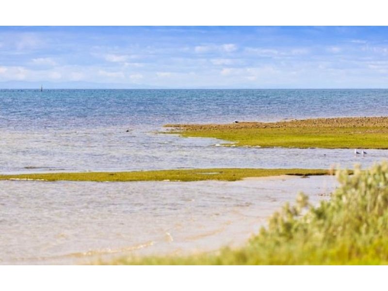 43 Seaforth Drive, Portarlington VIC 3223