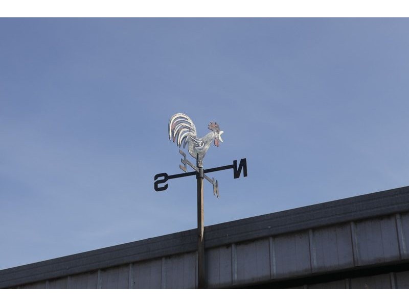 5 Tristania Court, Portarlington VIC 3223