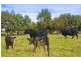 295 Harvey Road, St Leonards VIC 3223