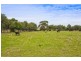 295 Harvey Road, St Leonards VIC 3223