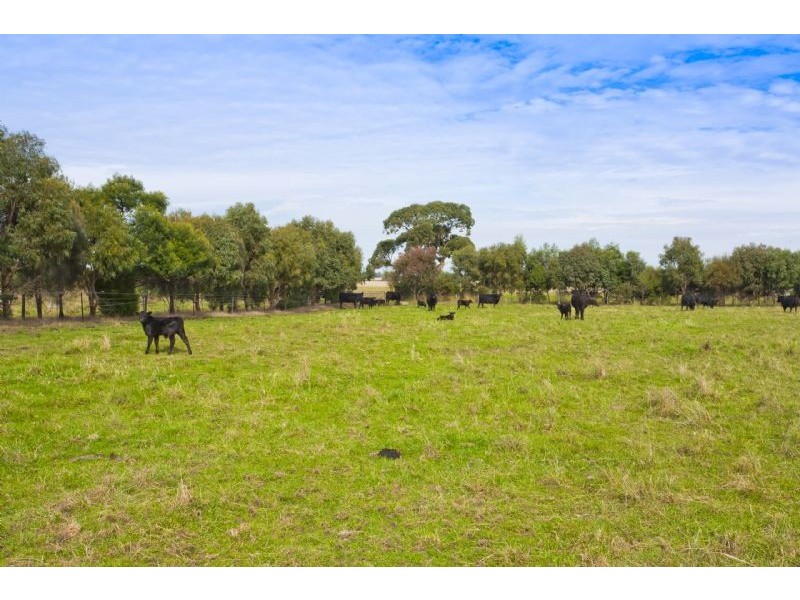 295 Harvey Road, St Leonards VIC 3223