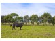 295 Harvey Road, St Leonards VIC 3223