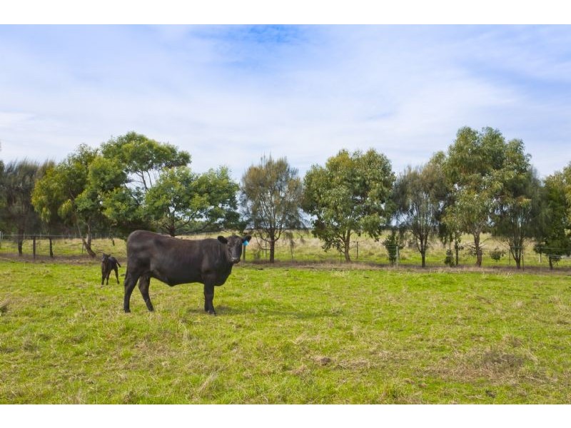 295 Harvey Road, St Leonards VIC 3223