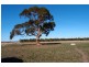295 Harvey Road, St Leonards VIC 3223