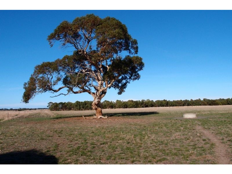 295 Harvey Road, St Leonards VIC 3223