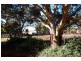 295 Harvey Road, St Leonards VIC 3223