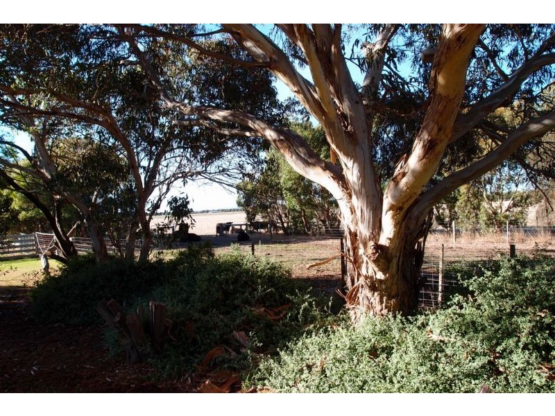 295 Harvey Road, St Leonards VIC 3223