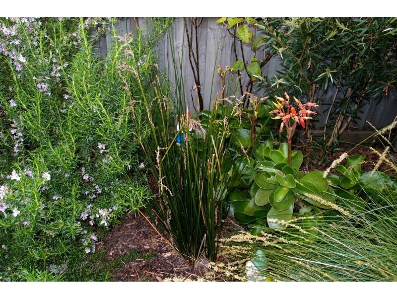 2/82 Payne Street, Portarlington VIC 3223