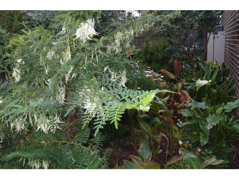 2/82 Payne Street, Portarlington VIC 3223