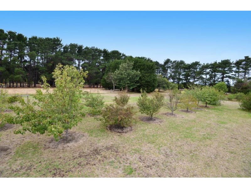 1121-1125 Murradoc Road, St Leonards VIC 3223