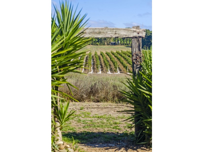 2320 Portarlington Road, Bellarine VIC 3221