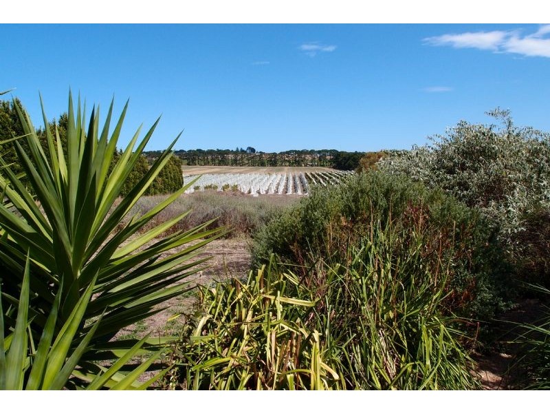 2320 Portarlington Road, Bellarine VIC 3221