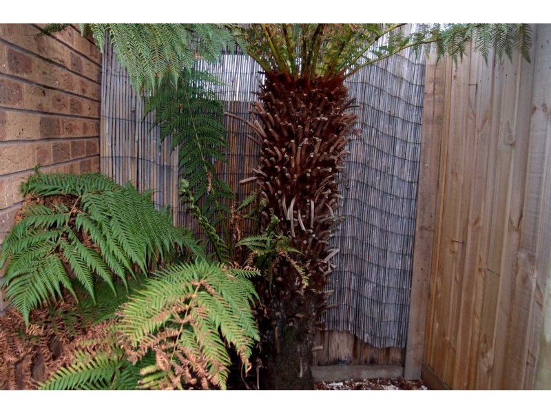 3/66 Willis Street, Portarlington VIC 3223