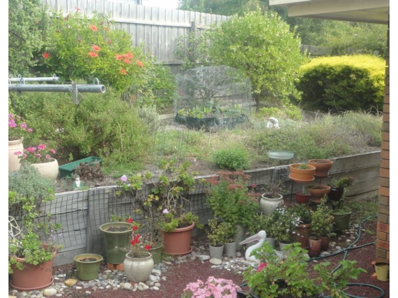 63b Geelong Road, Portarlington VIC 3223