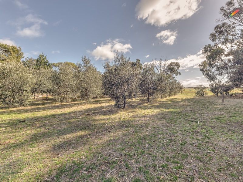 131-139 Old St Leonards Road, St Leonards VIC 3223