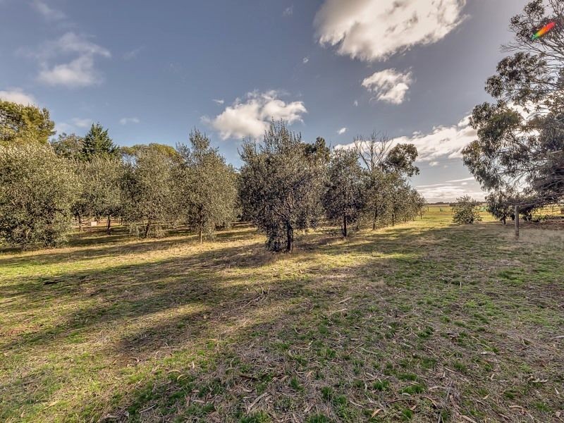 135 Old St Leonards Road, St Leonards VIC 3223