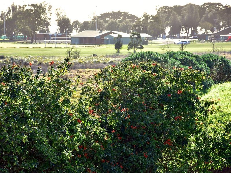 2/21 Welfare Street, Portarlington VIC 3223